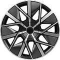 R20